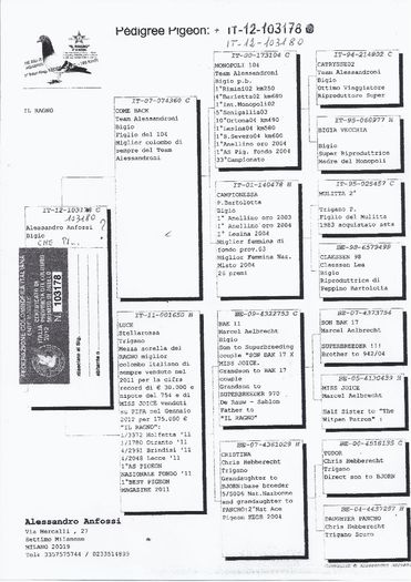 Scan0001 (1)-page-001 (1) - pedigrii  reproducatori