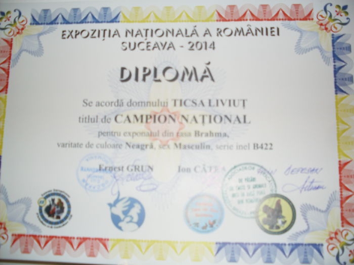 SDC15129 - CUPE SI DIPLOME OBTINUTE IN 2014