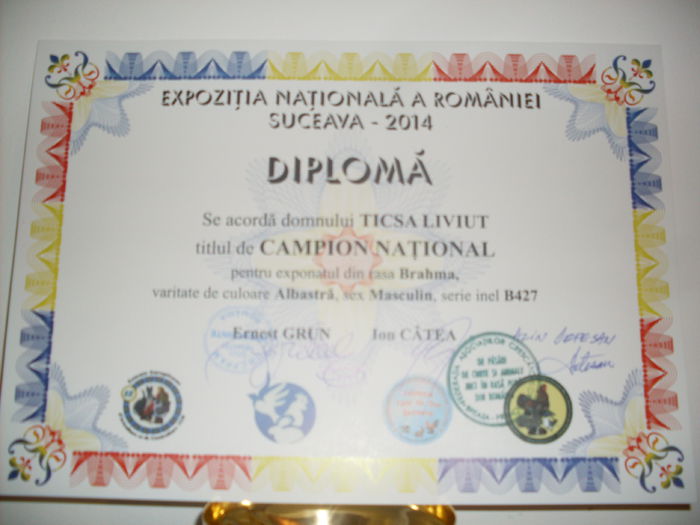 SDC15132 - CUPE SI DIPLOME OBTINUTE IN 2014