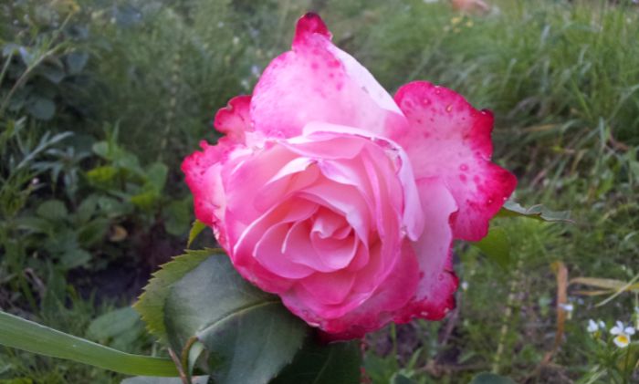 20140627_211047