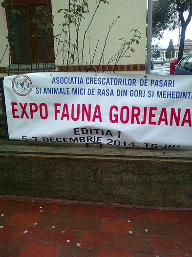  - EXPO FAUNA GORJANA EDITIA 1SE VA DESFASURA IN PERIOADA 5   7 DECEMBRIE 2014