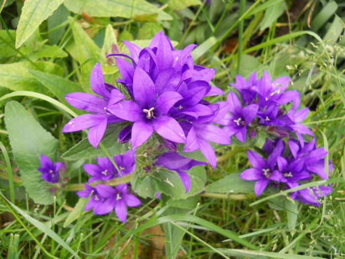 DSCN2009