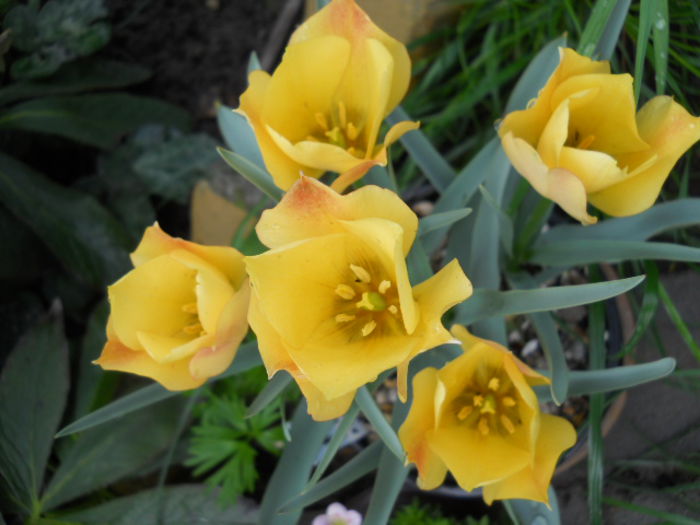 DSCN1744