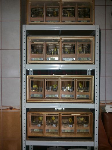 20141106_104752; Scoala 2014
