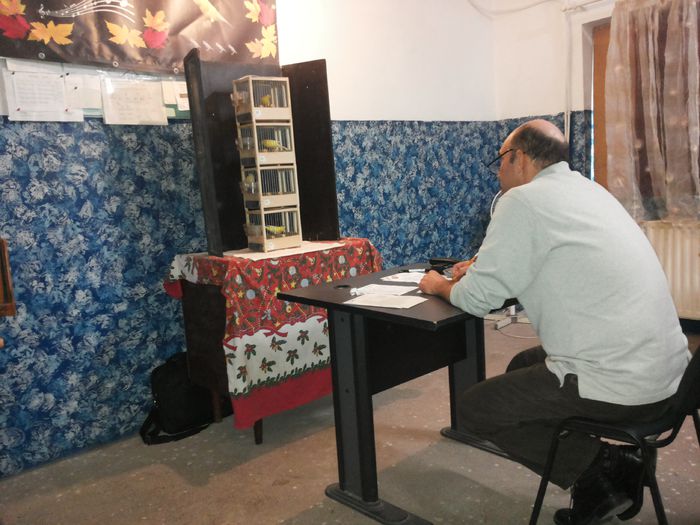 20141116_120423; Concurs Evaluare Regionala 16.11.2014 - Constanta
