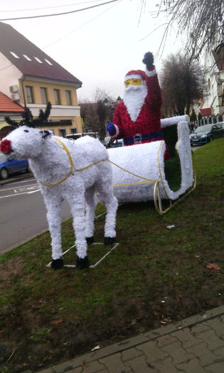 IMG_20141211_114712 - Targul de iarna Bistrita dec 2014