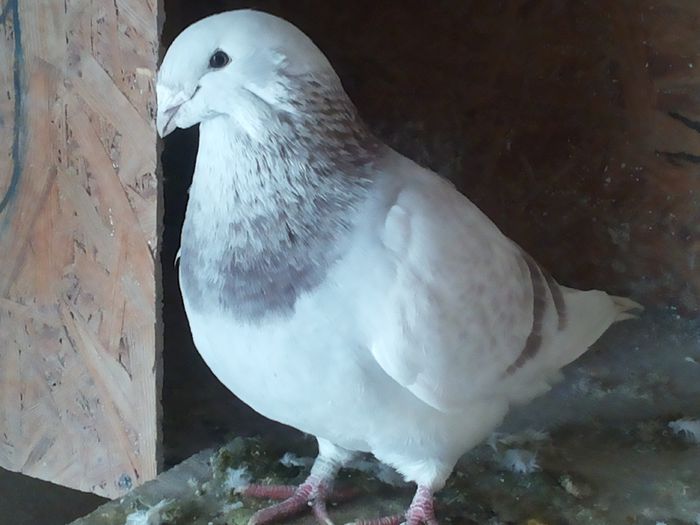 132307m2014