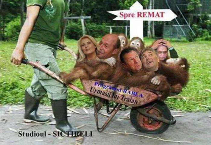 10354611_614275635364678_1739872431593846563_n (1) - DE GUSTIBUS  ET COLORIBUS NON DISPUTANDUM