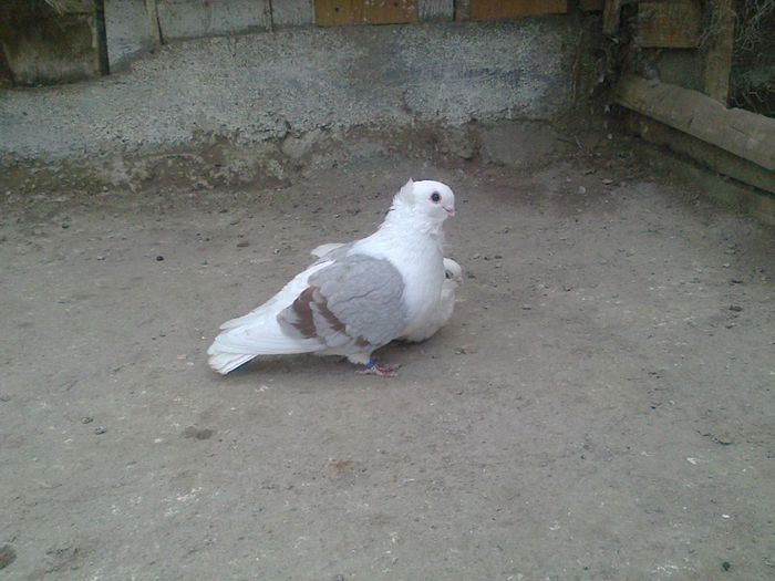Imag 012215