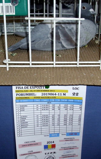DSCI0012