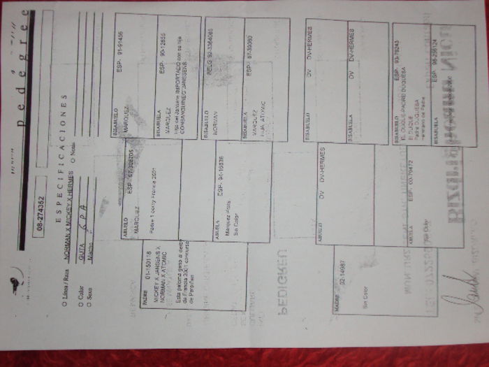 poze azi113-12-2014 2390