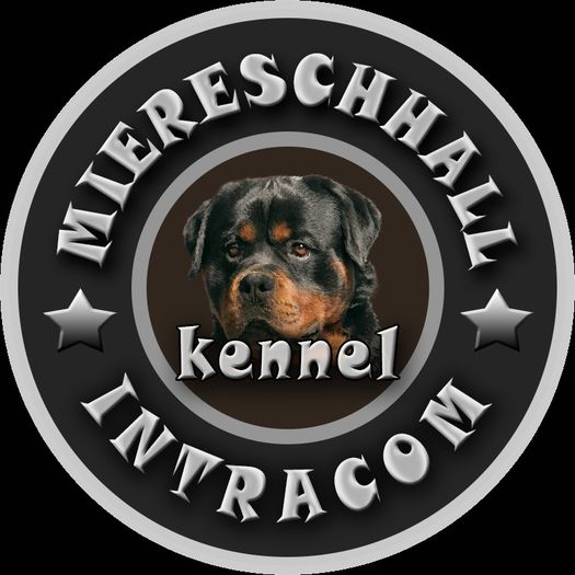 Miereschhall Intracom Kennel; Canisa Miereschhall Intracom
