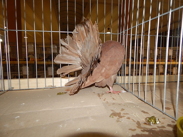 DSCN8412
