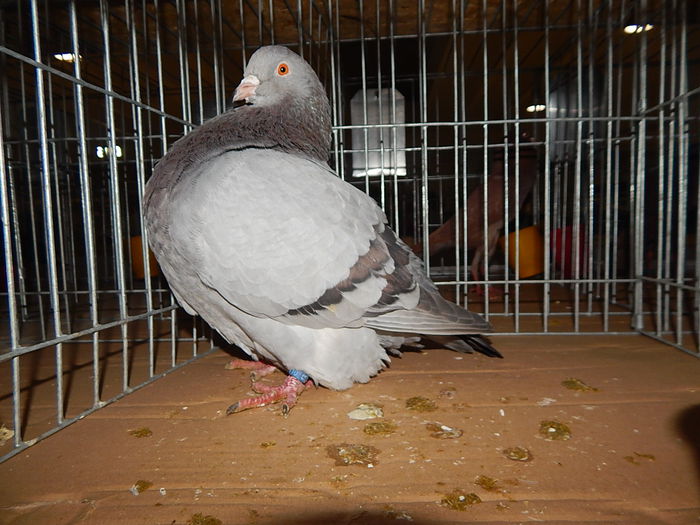 DSCN8444