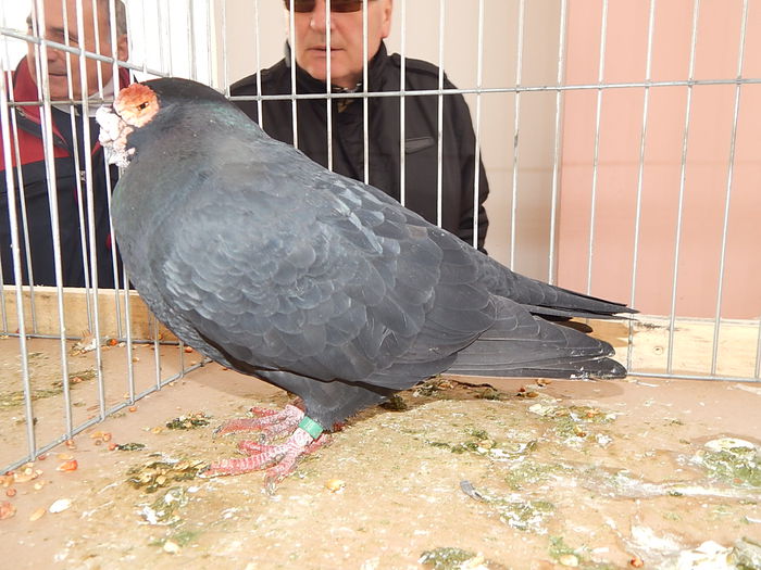 DSCN8517