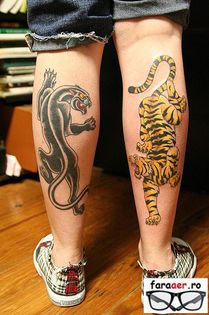  - 08 Regii din jungla