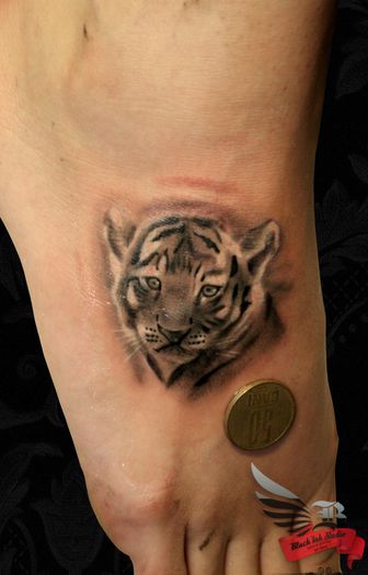  - 08 Regii din jungla