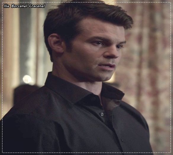 ;; Stefan mananca animale, nu eu...Dar totusi un banut, o portocala...ceva nu-mi dai k am cantat?=))