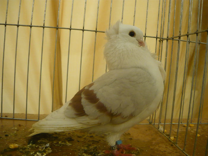 P1050329