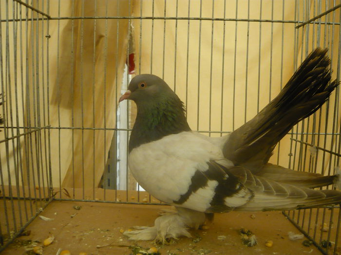 P1050331