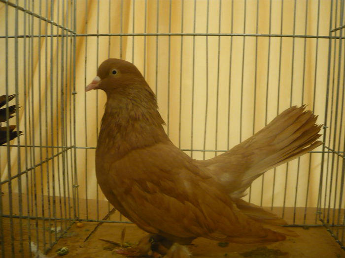 P1050332