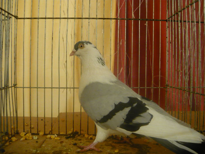 P1050360