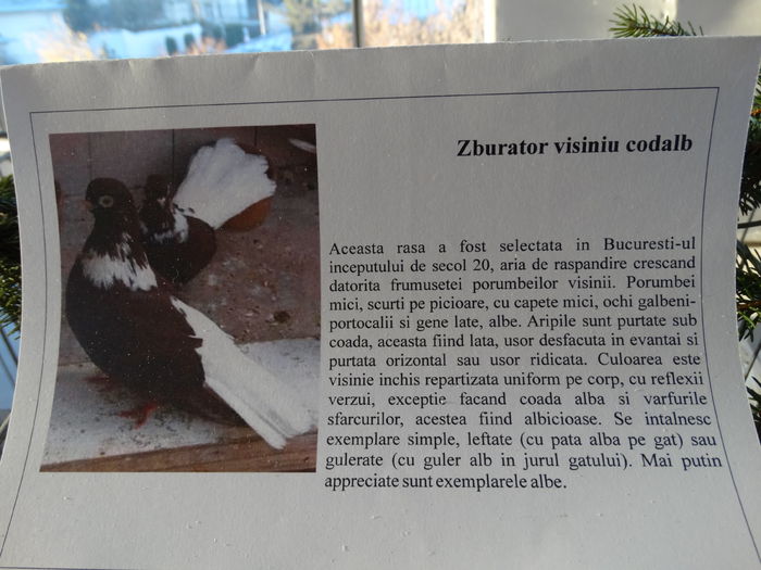 DSC03893 - Expo Arges 2014-decembrie