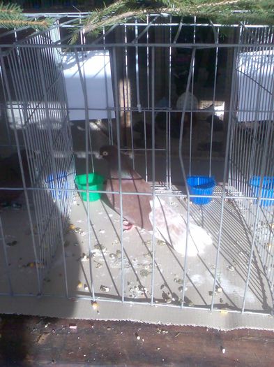 Immag155 - Expozitie si Targ Pitesti 12-14 Decembrie 2014