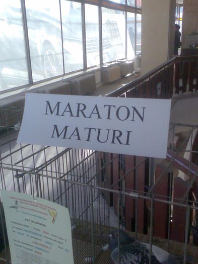 Immag193 - Expozitie si Targ Pitesti 12-14 Decembrie 2014