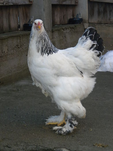 DSCN8057 - v arhivaLot HD-2015