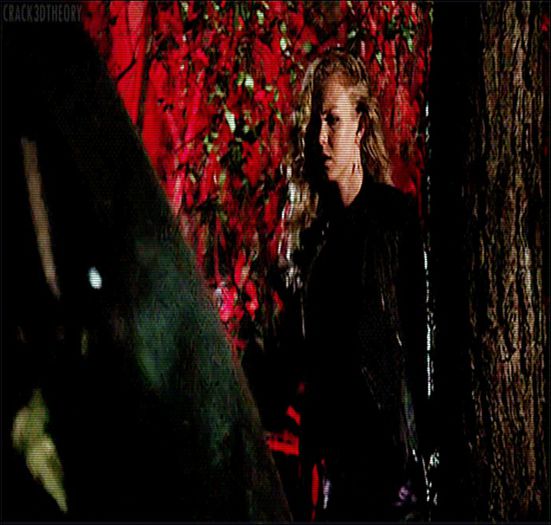 ✌↘;.wιɴcнeѕтer;. Nimic.. #dă din umeri.