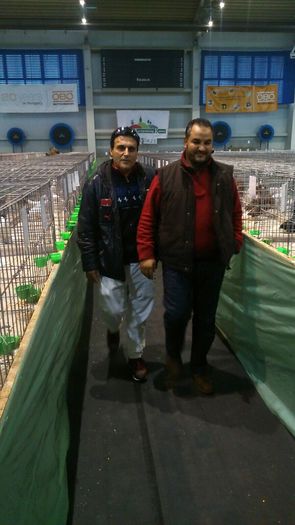 image - Dabas2014December13