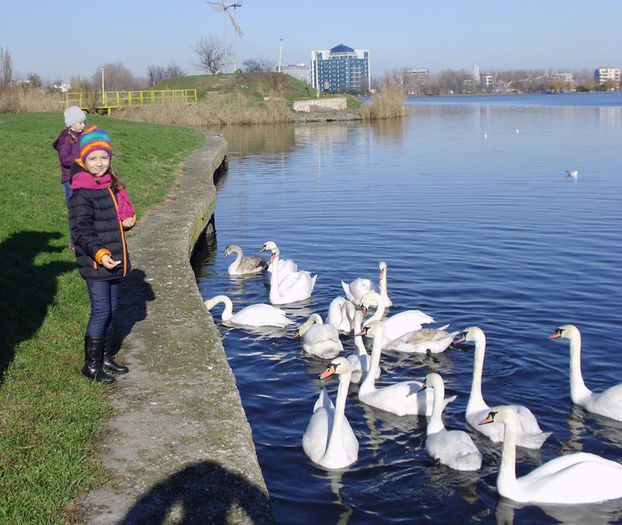 din parcul dintre Constanta si Mamaia
