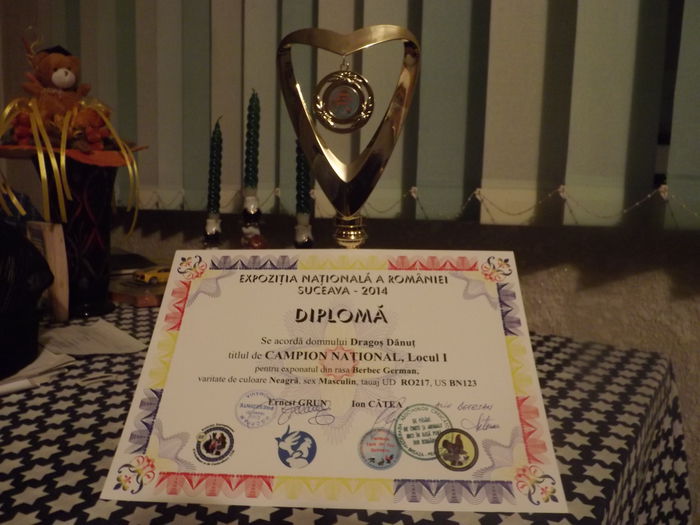 Cupa/Diploma - Rezultate la Expo SV Nationala 2014