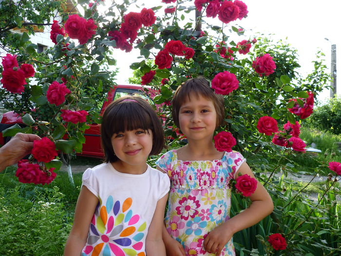 04.06.2014 - Mariuca si Maria; Mariuca-stinga si Maria-dreapta
Gradina cu trandafiri
