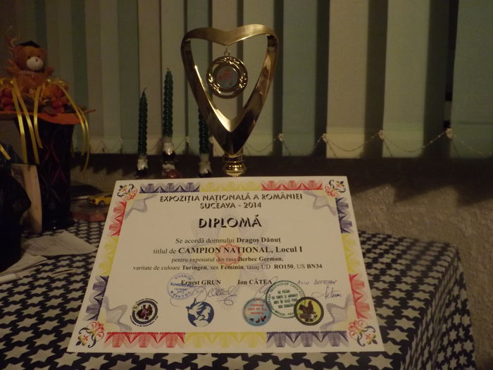 Cupa/Diploma