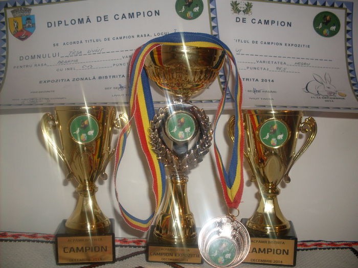 SDC15275 - CUPE SI DIPLOME OBTINUTE IN 2014
