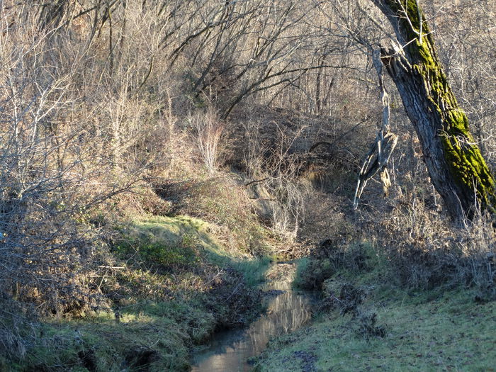 DSC04073