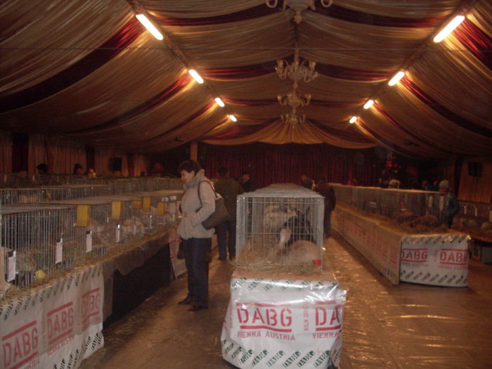 SDC15221 - Expozitie Judeteana Bistrita 2014