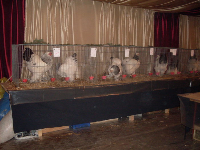 SDC15231