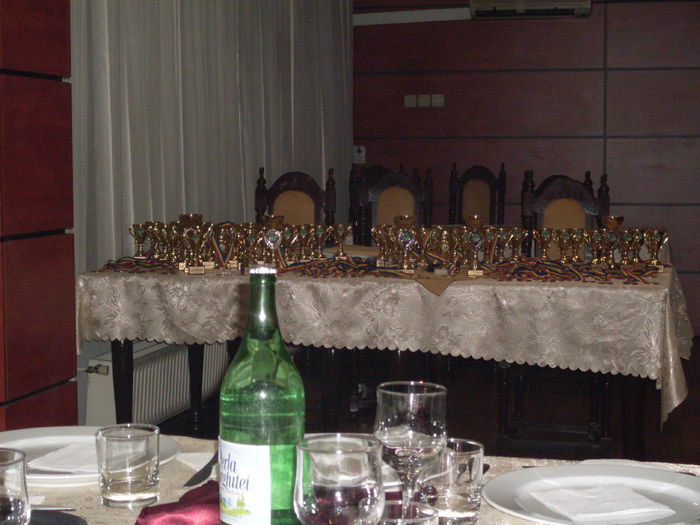 SDC15237 - Expozitie Judeteana Bistrita 2014