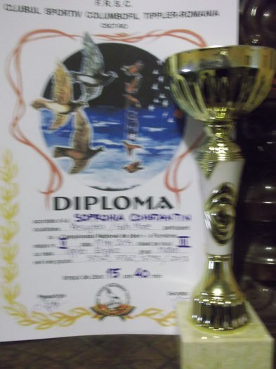 Cupe Dipllome 2014 007 - Rezultatul muncii  2014