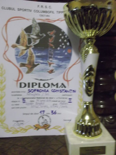 Cupe Dipllome 2014 009 - Rezultatul muncii  2014