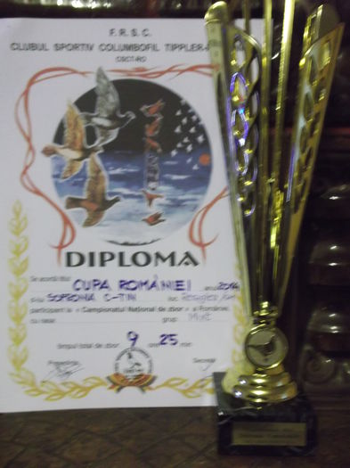 Cupe Dipllome 2014 015