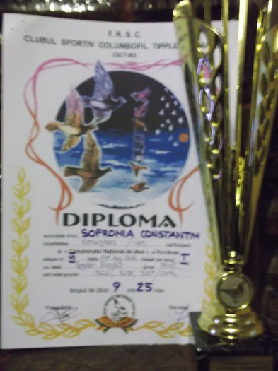 Cupe Dipllome 2014 016