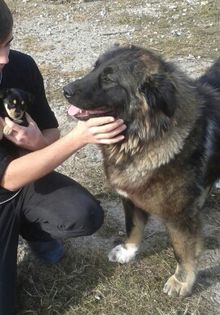 20141109_133115-1 - Sasha