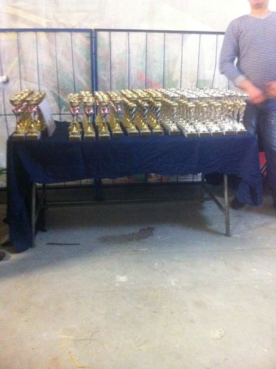 image - Expo Cupa Crisana 2014