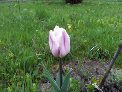 20140424_195135