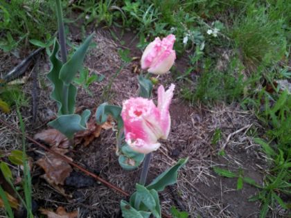 20140424_195421