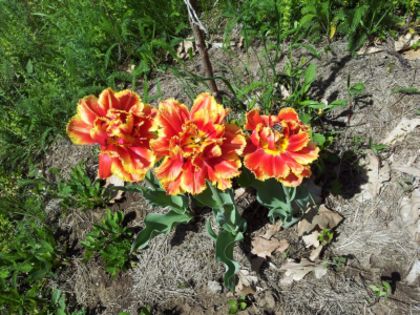 20140426_134403